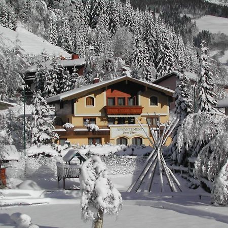 Appartements Landhaus Jaeger Filzmoos Bagian luar foto
